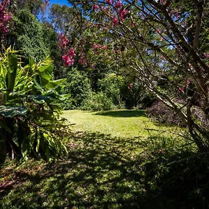 Tranquil Rainforest , Kuranda Australia